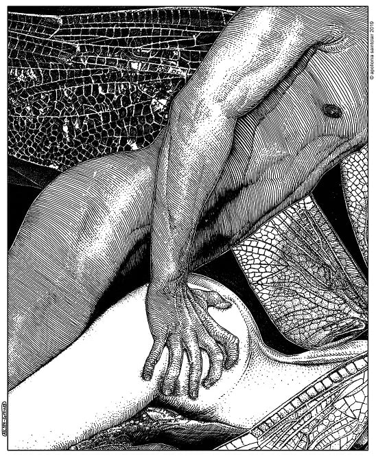 Apollonia Saintclair doggystyle