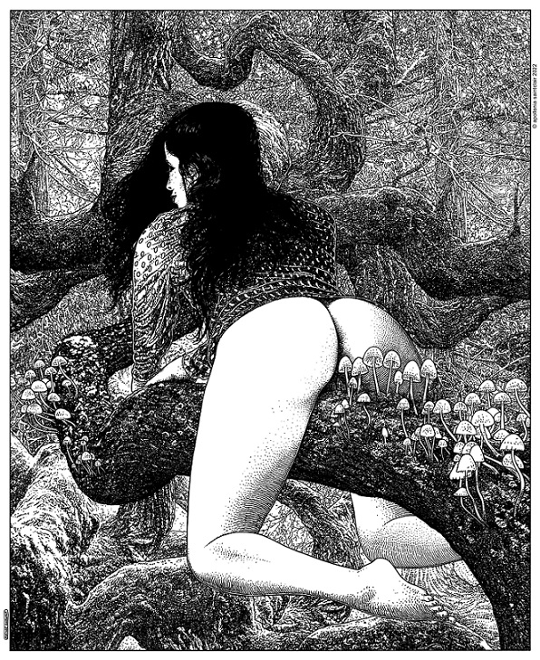 apollonia saintclair Mycophilia