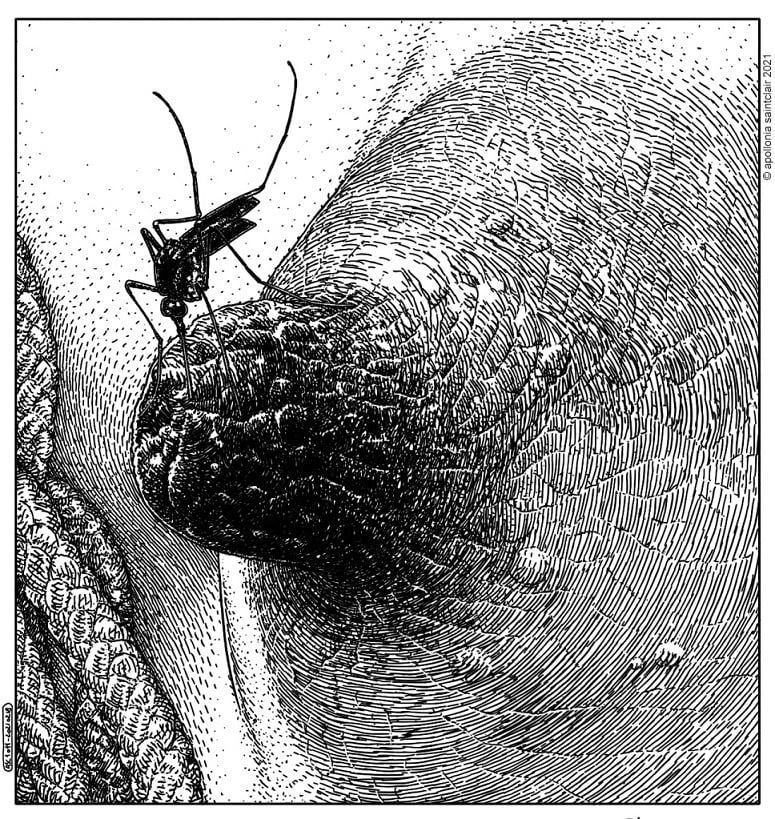 Apollonia Saintclair nipple mosquito