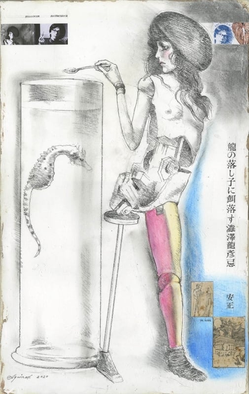 Aquirax Uno art