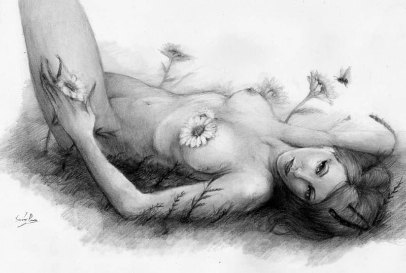 art by Simone Pinna