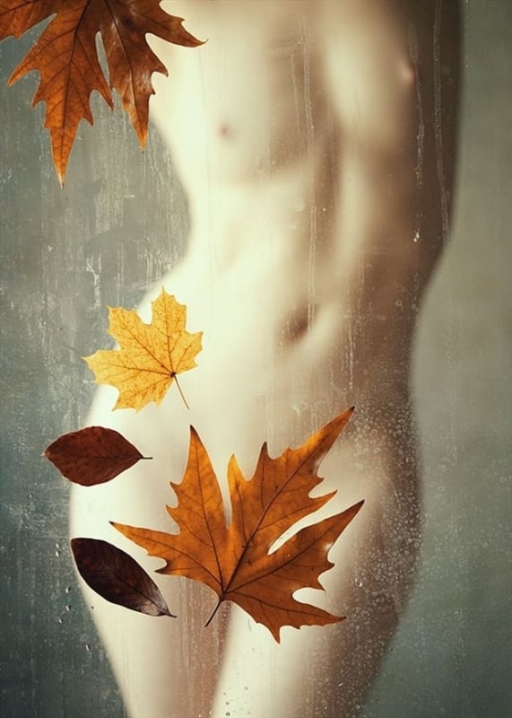 Autumn Leaves Artistic Nude Photo by model Ivory Flame at Model Society