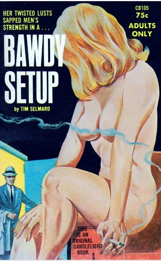 Bawdy Setup Adult Cover