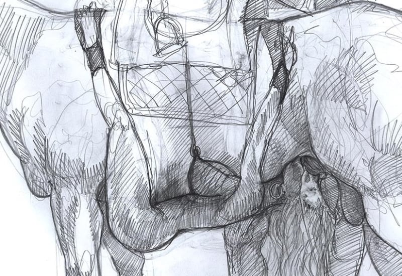 bestiality by Jan Draws Erotica detail