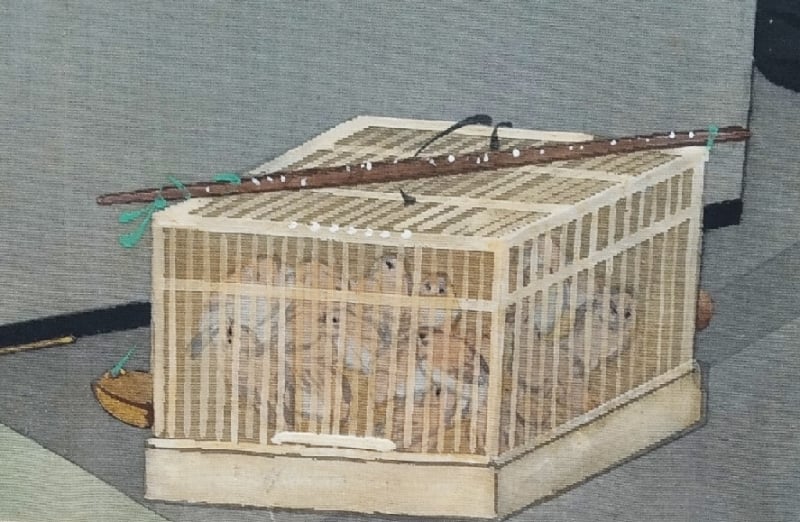 birdcage with numerous birds and flute