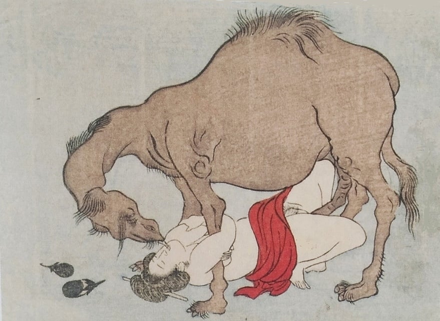 camel erotic print shunga