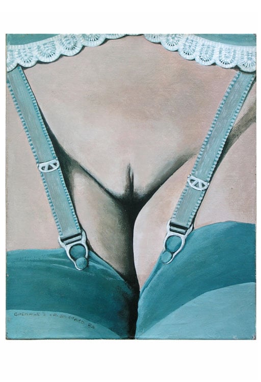 close-up female private parts with suspenders