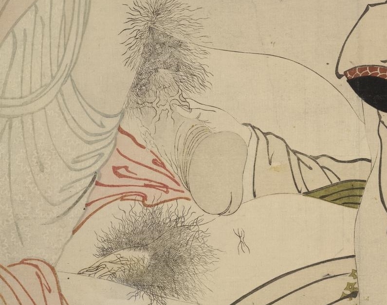 Close-up of the male penis from Utamaro's Utamakura