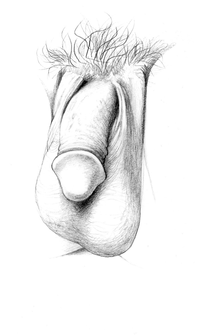 Penis Sketch from "Sex for One" (1987). 