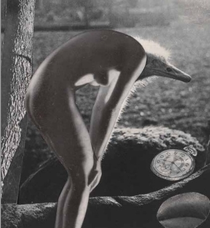 collage art Karel Teige