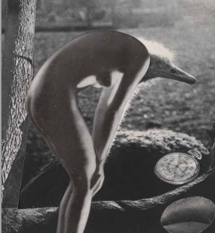 collage art Karel Teige collage art Karel Teige