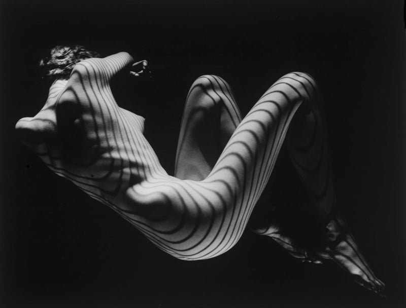 Contours by Fernand Fonssagrives