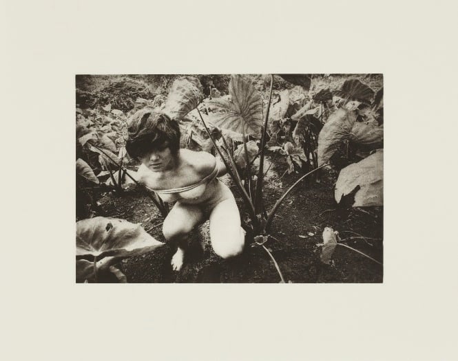 Daido Moriyama kinbaku