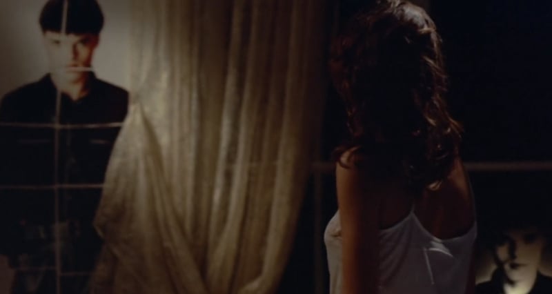 DER FAN (ECKHART SCHMIDT, 1982)