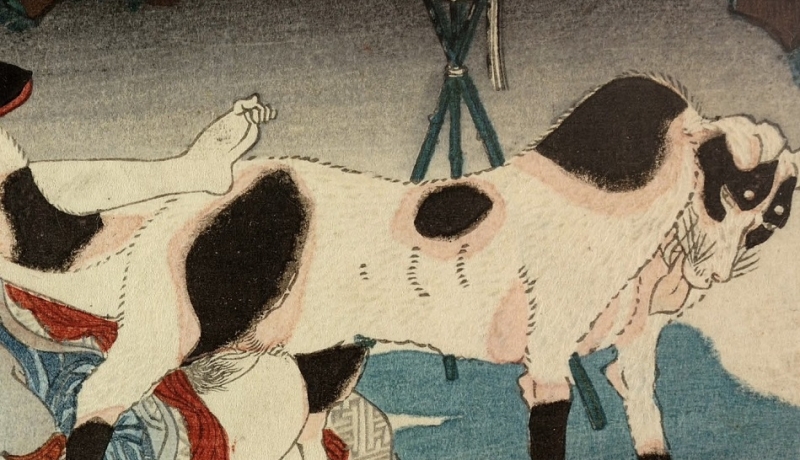 detail Fellowship of the dog Yatsufusa and Fusehime