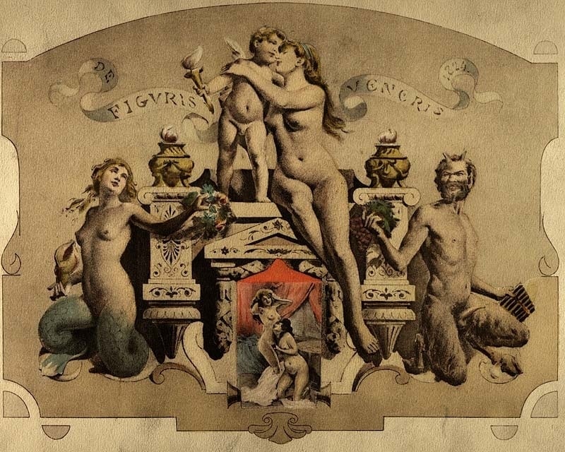Édouard Avril’s ‘De Figuris Veneris’ cover image