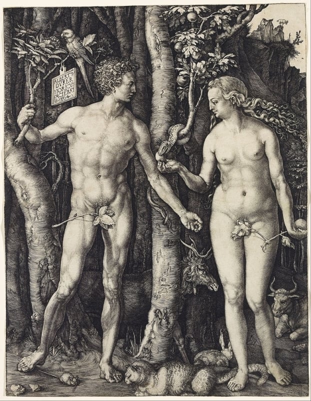 Engraving 'Adam and Eve.' (1504) by Albrecht Dürer