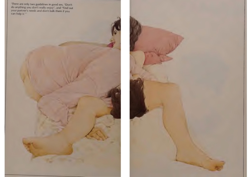 erotic book The Joy of sex