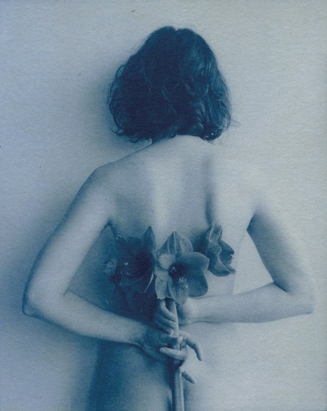 Erotic Cyanotype Erotic Cyanotype