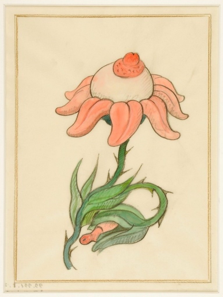 tomi ungerer erotic flower