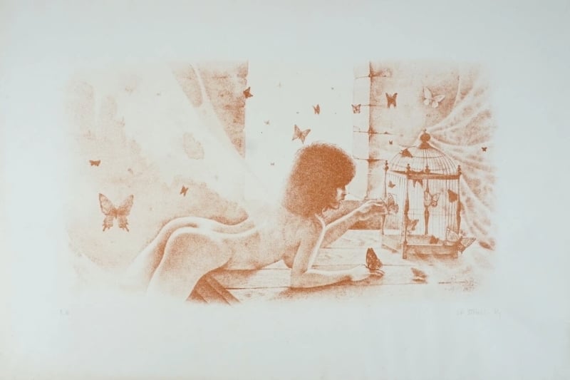 femme nue ala cage aux papillons by Jean-Pierre Stholl femme nue ala cage aux papillons by Jean-Pierre Stholl