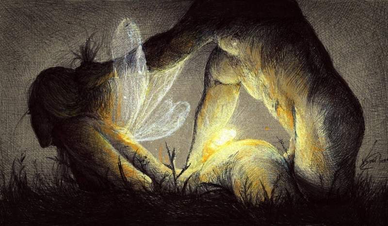 Firefly 2025 by Simone Pinna