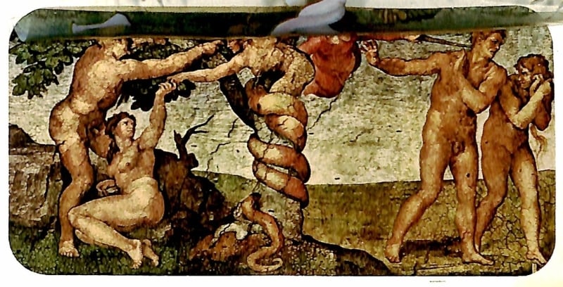 Garden of Eden by Michelangelo Buonarroti (Greenburg)