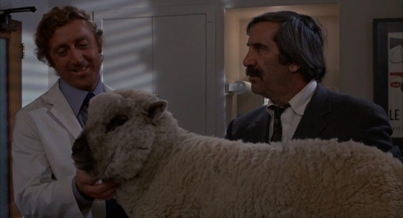 Gene Wilder as a doctor in love with a sheep