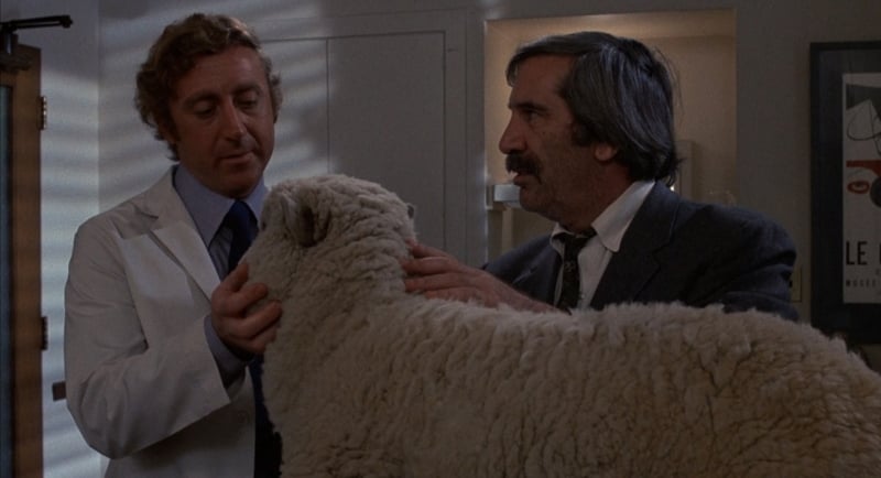 Gene Wilder with Sheep