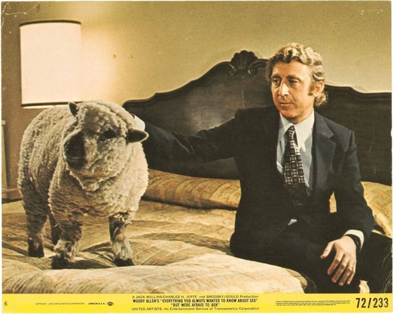 Gene Wilder with sheep in Everything You Always Wanted To Know About Sex (But Were Afraid To Ask)