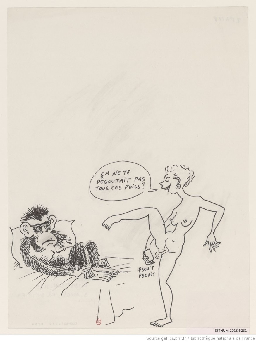 georges wolinski cartoons