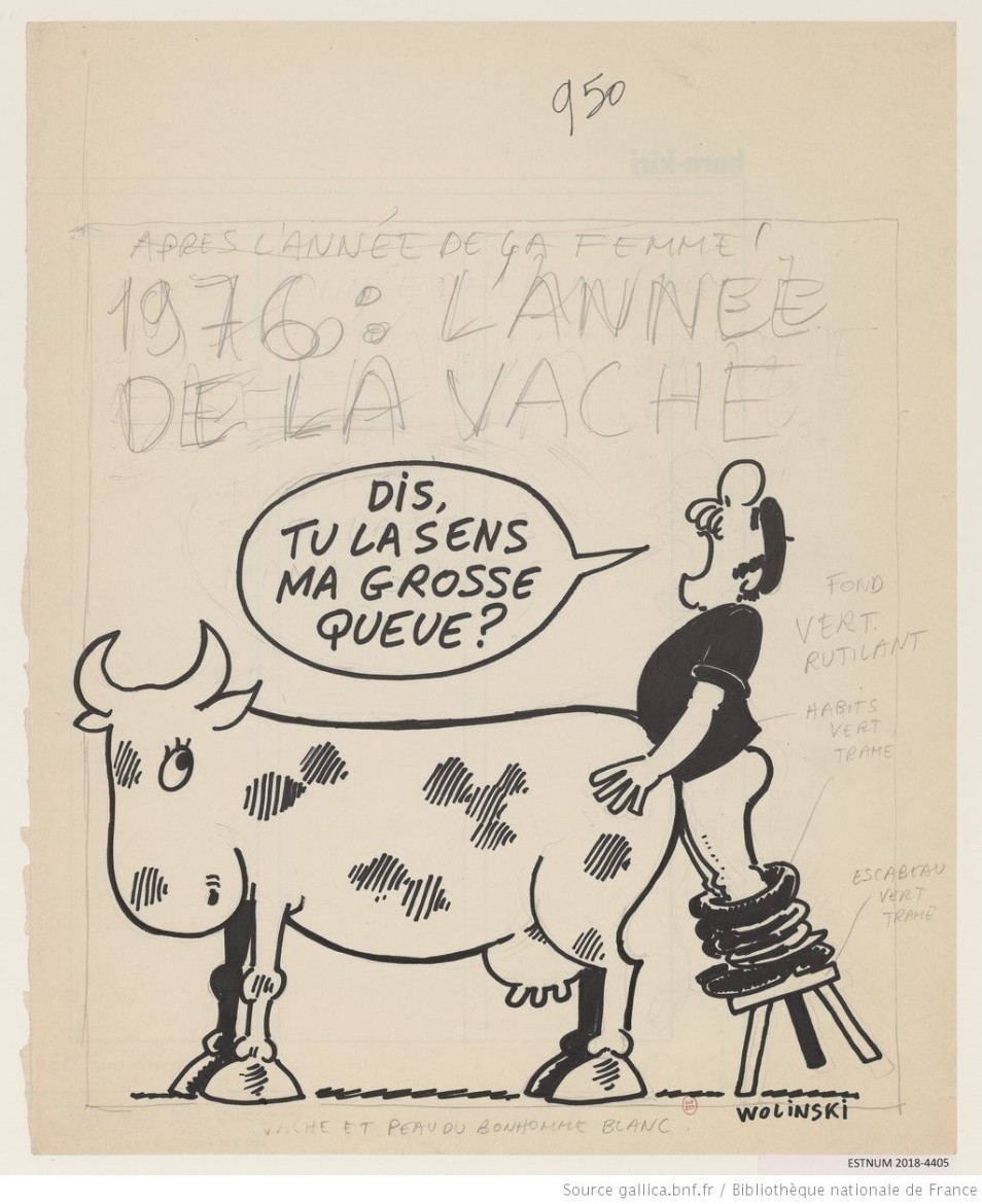 georges wolinski cartoons