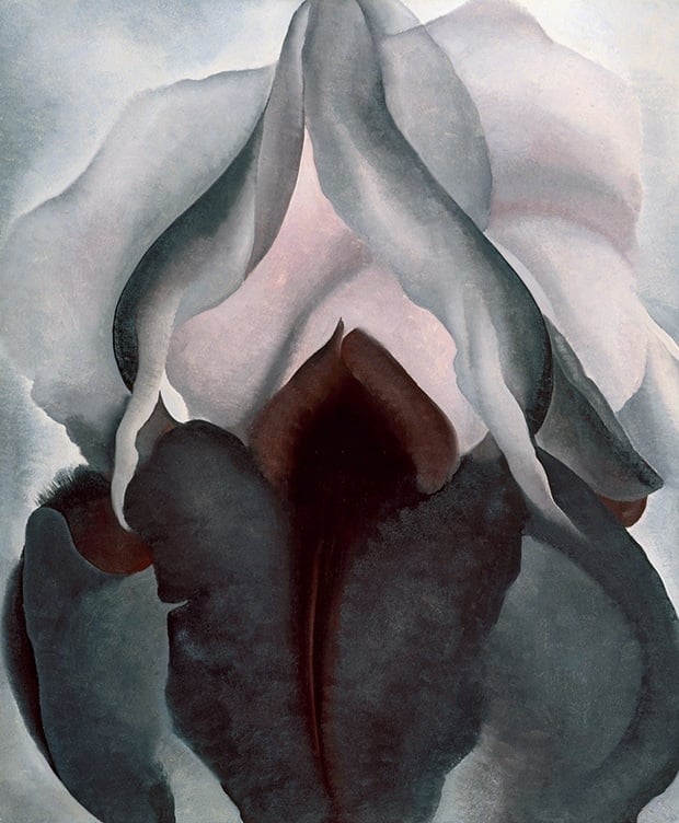 Georgia O'Keeffe, Black Iris, 1926.