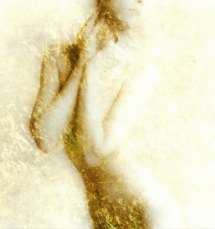 Golden shower by Gun Legler