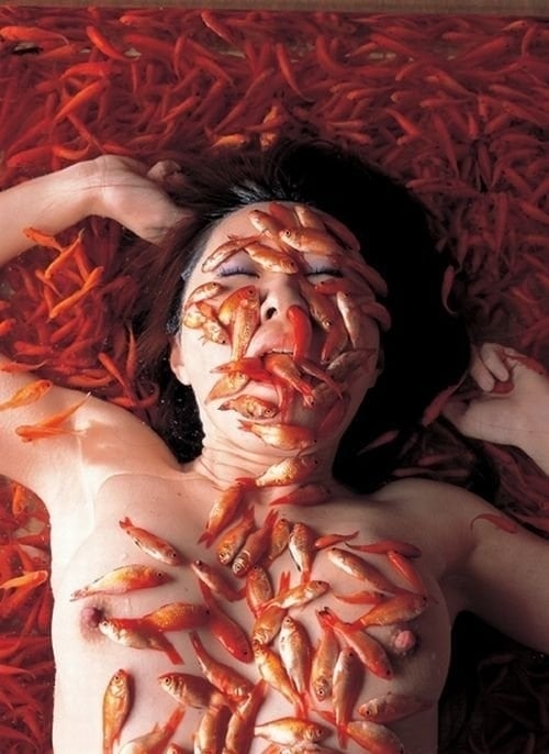 goldfishes by Daikichi Amano goldfishes by Daikichi Amano