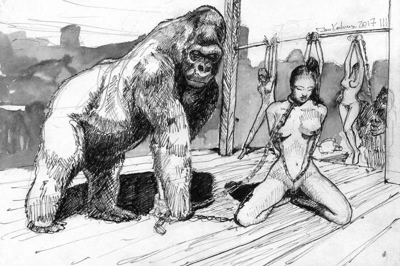 gorilla with chained nude erotic drawing