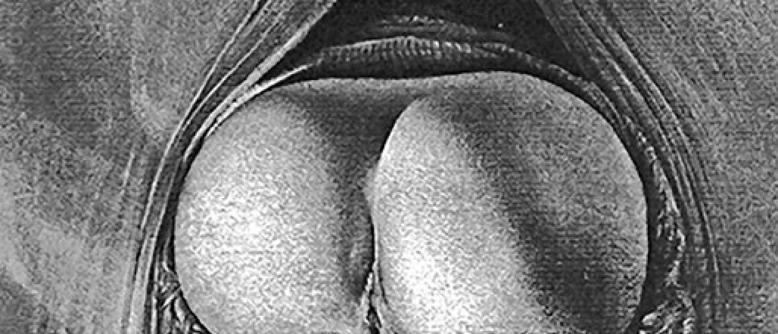 Gérard Gachet erotic art