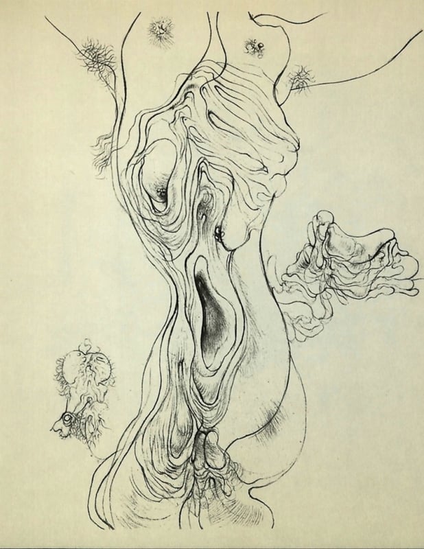 Hans Bellmer drawing