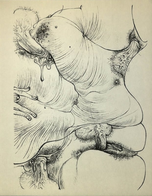 Hans Bellmer erotic drawing