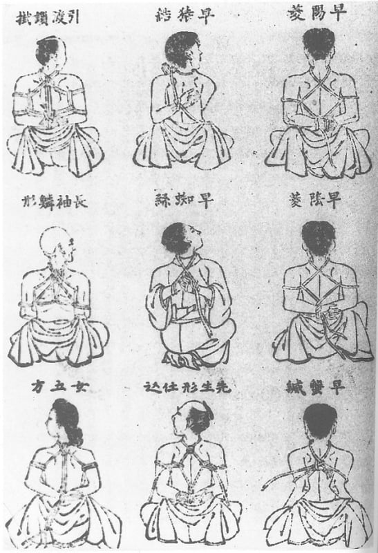 hojōjutsu seiu ito