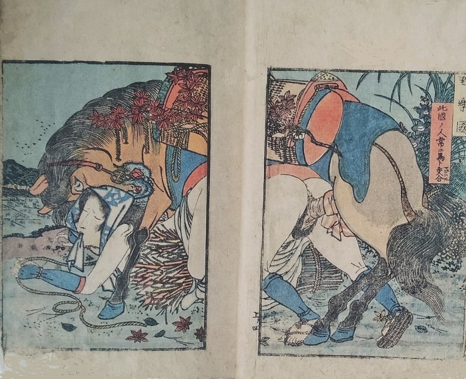 Horse ukiyo-e shunga art