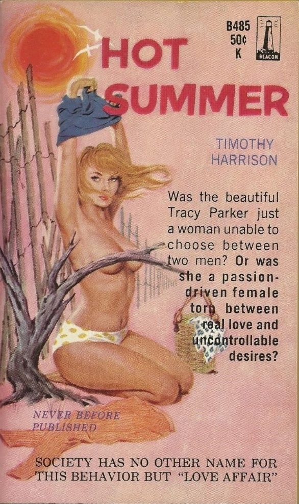 Hot Summer Pulp Novel