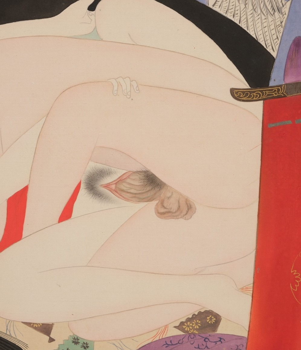 intercourse close up shunga