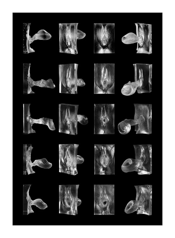jamie mccartney Internal Affairs series photographs