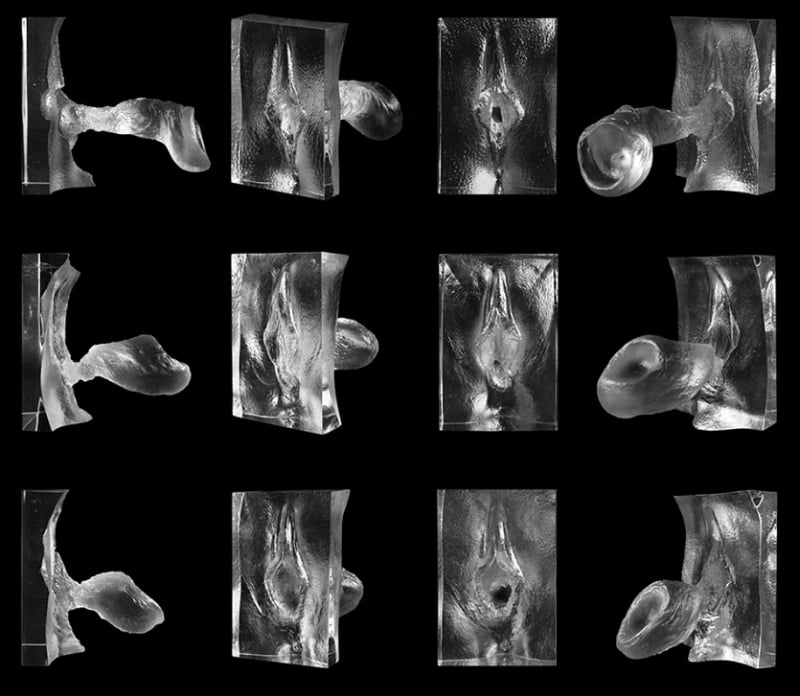 jamie mccartney Internal Affairs series photographs close-up