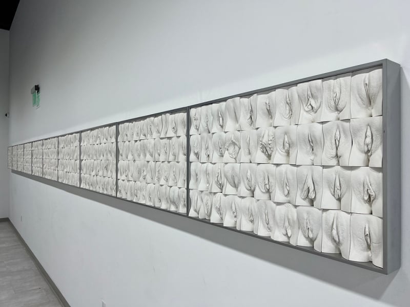 jamie mccartney The Great Wall of Vulva at WEAM