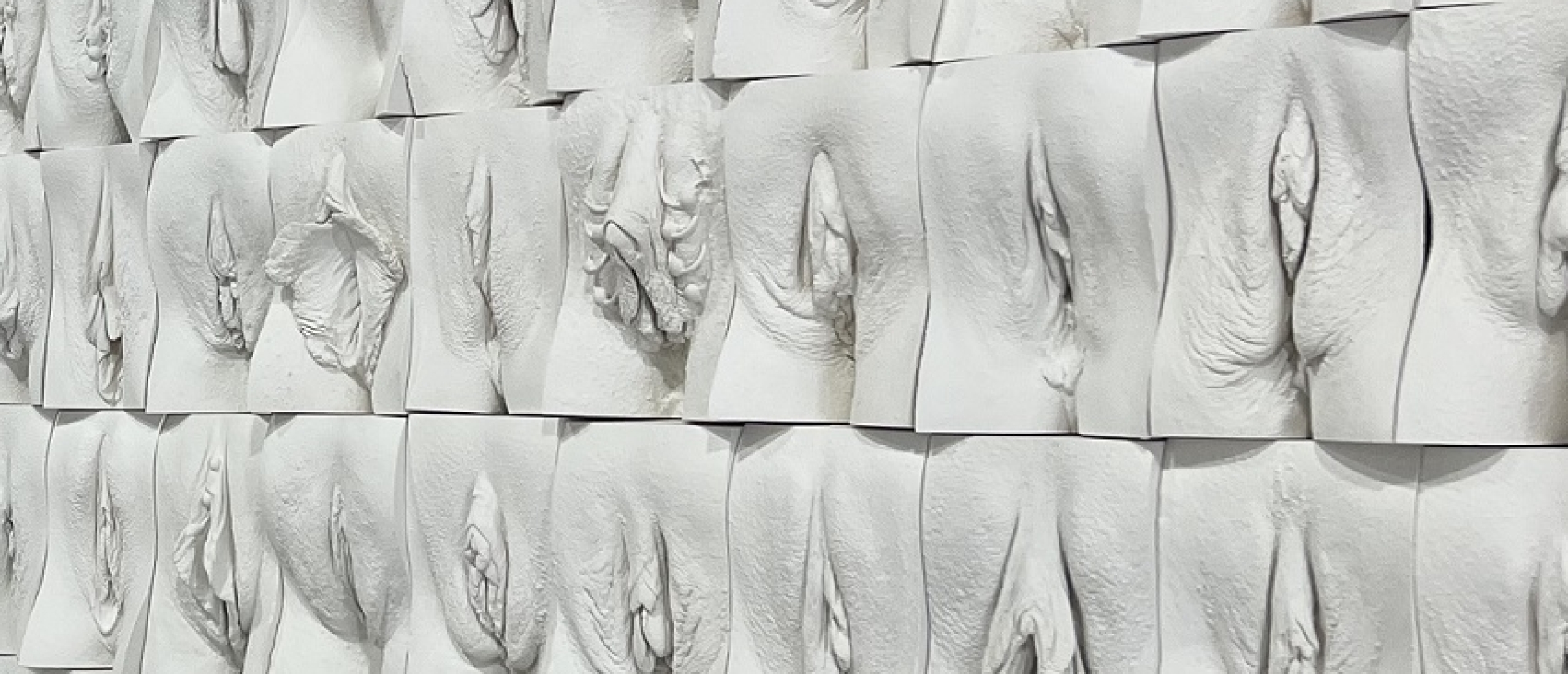 jamie mccartney The Great Wall of Vulva at WEAM detail