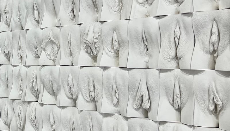 jamie mccartney The Great Wall of Vulva at WEAM detail