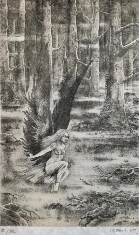 Jean-Pierre Stholl artist Jean-Pierre Stholl artist