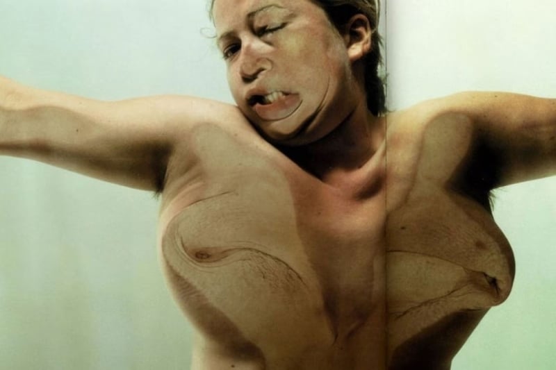 Jenny Saville nudity